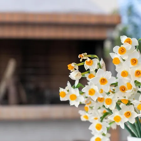 La Sima Holiday home Plevriana